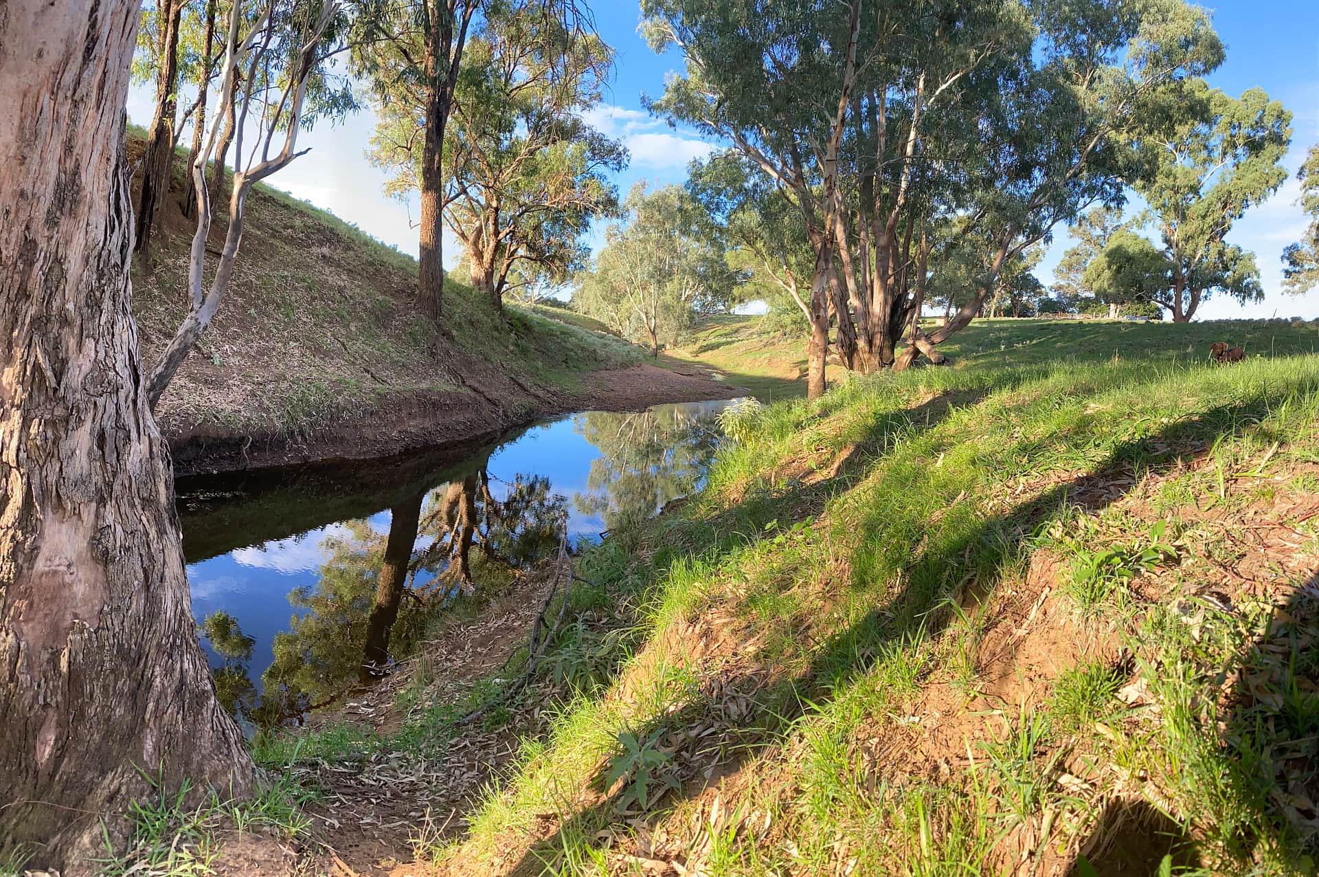 Picture of the site