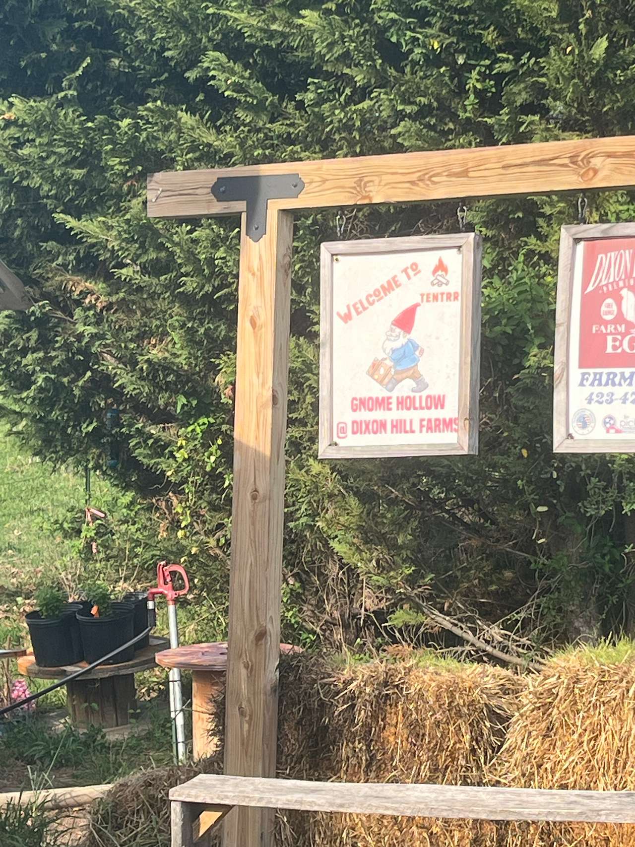 Picture of the site