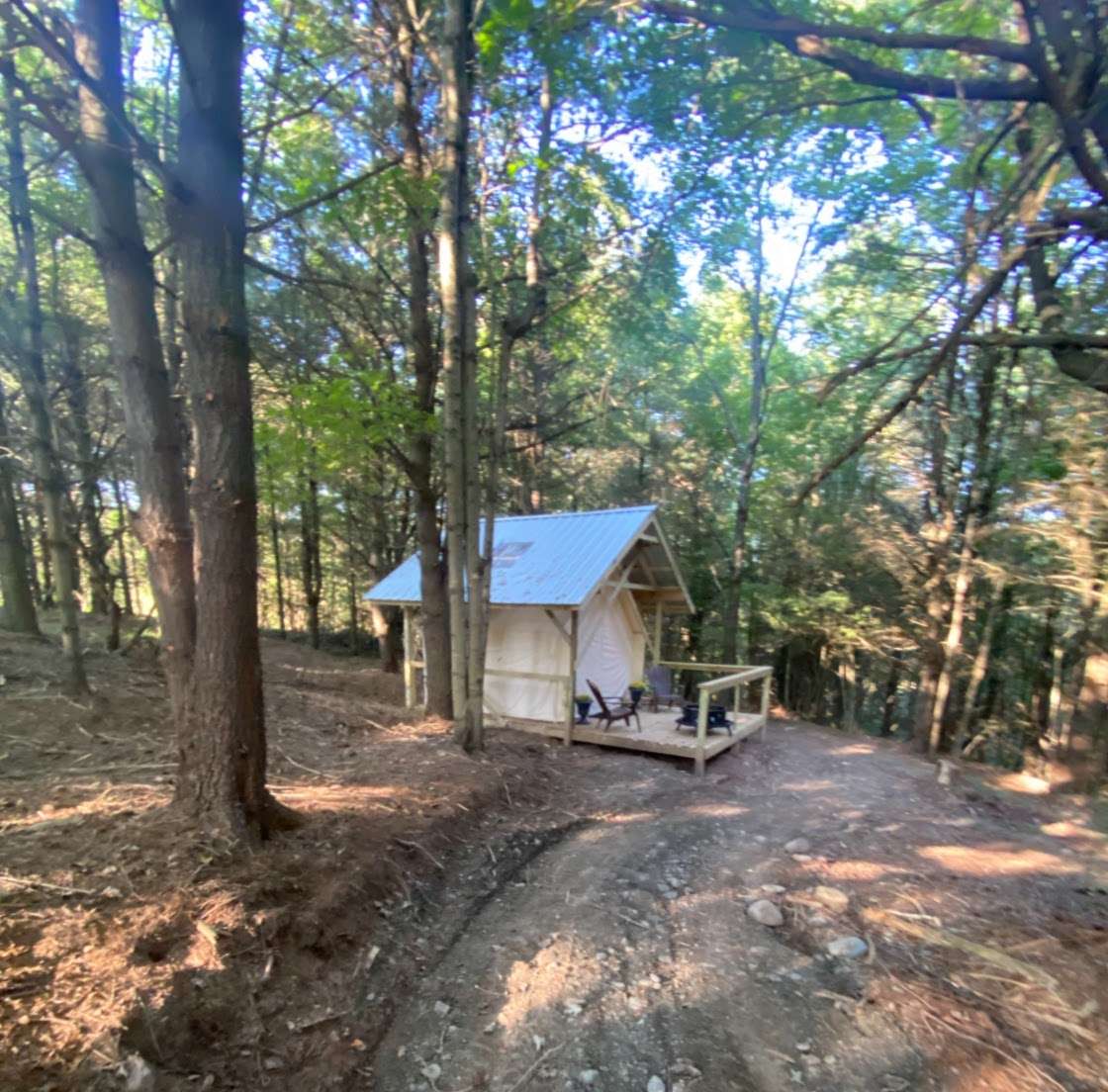Picture of the site