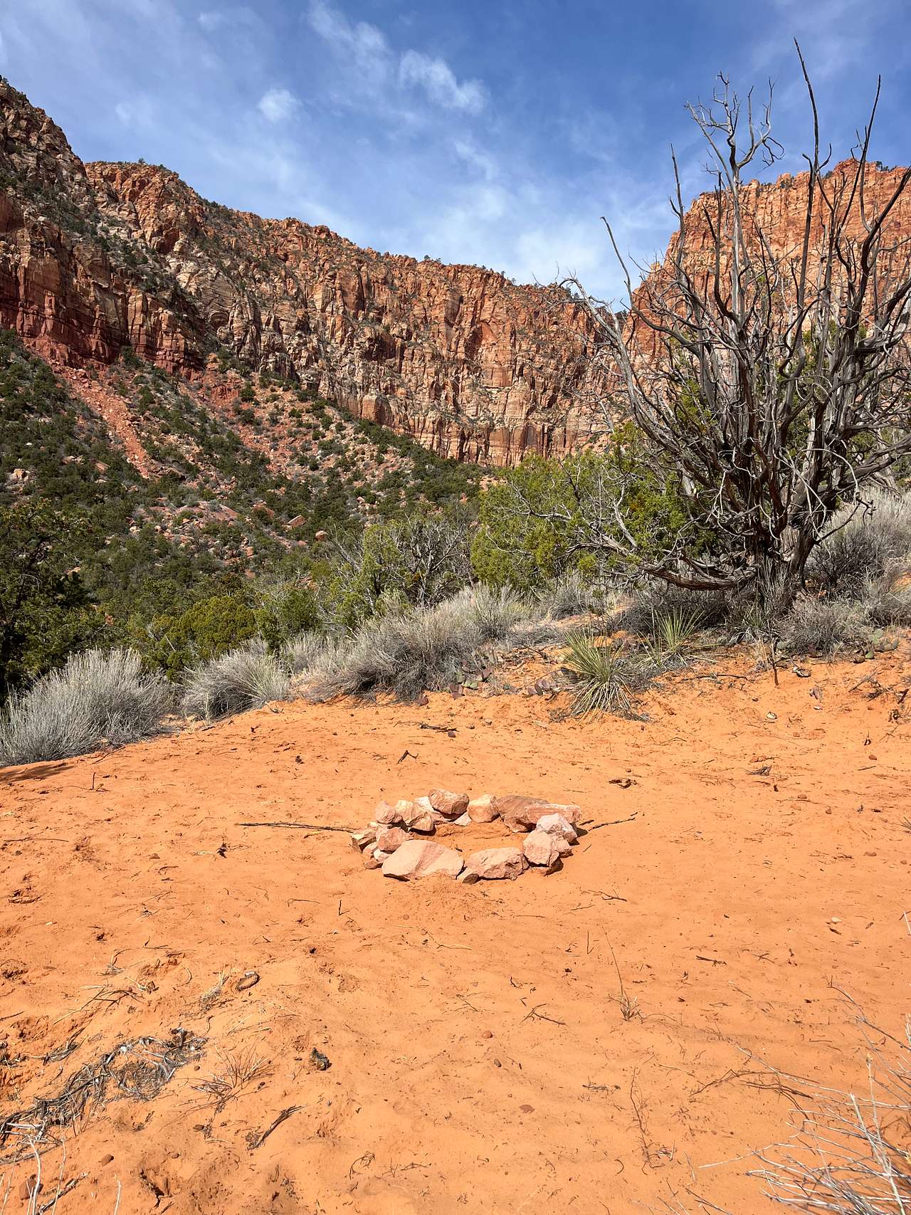 Picture of the site