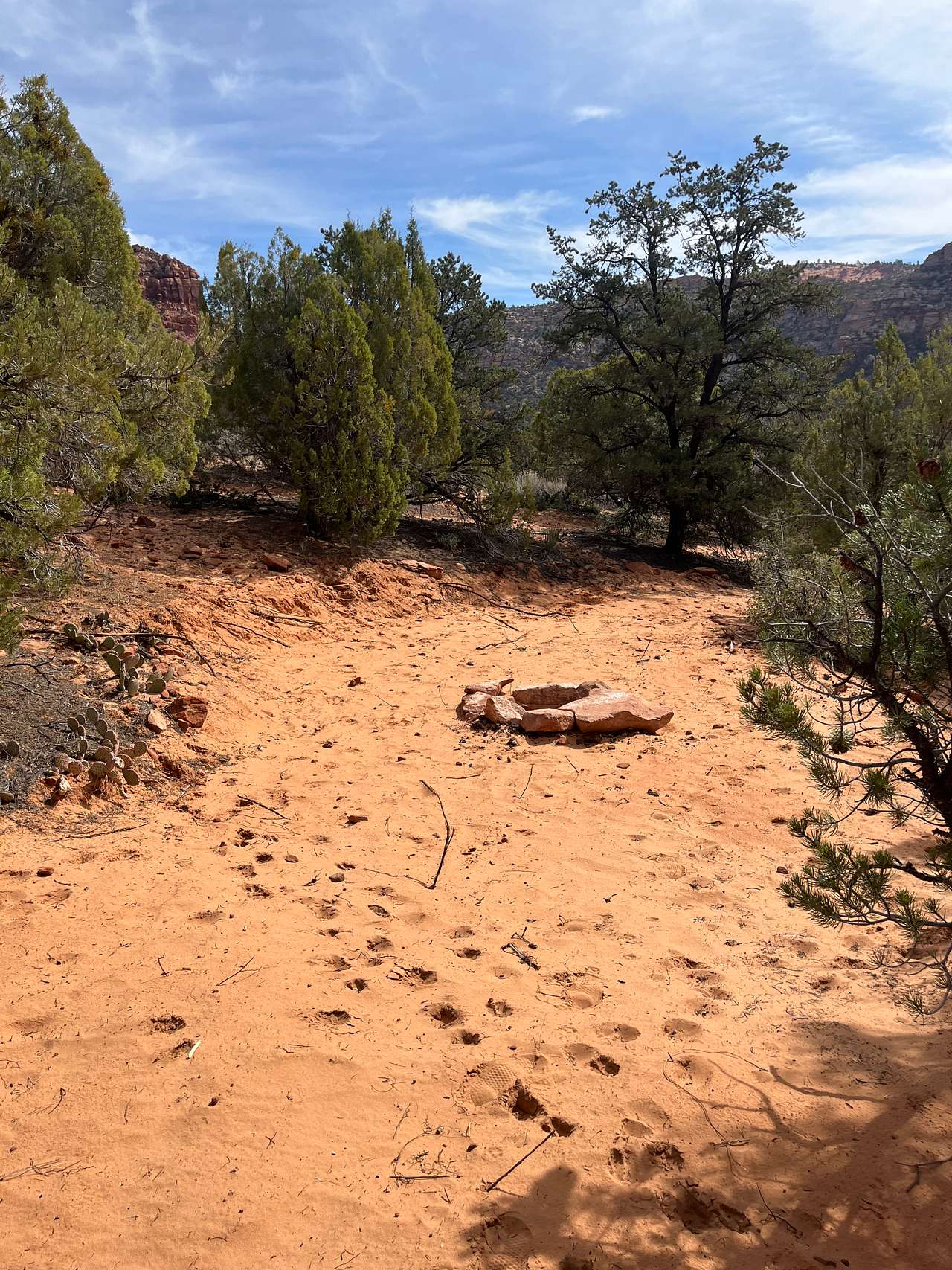 Picture of the site
