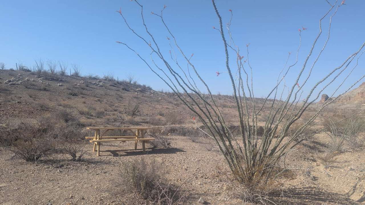 Picture of the site