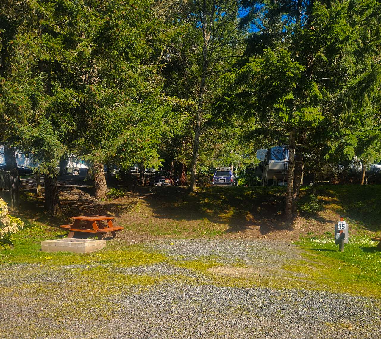 Picture of the site