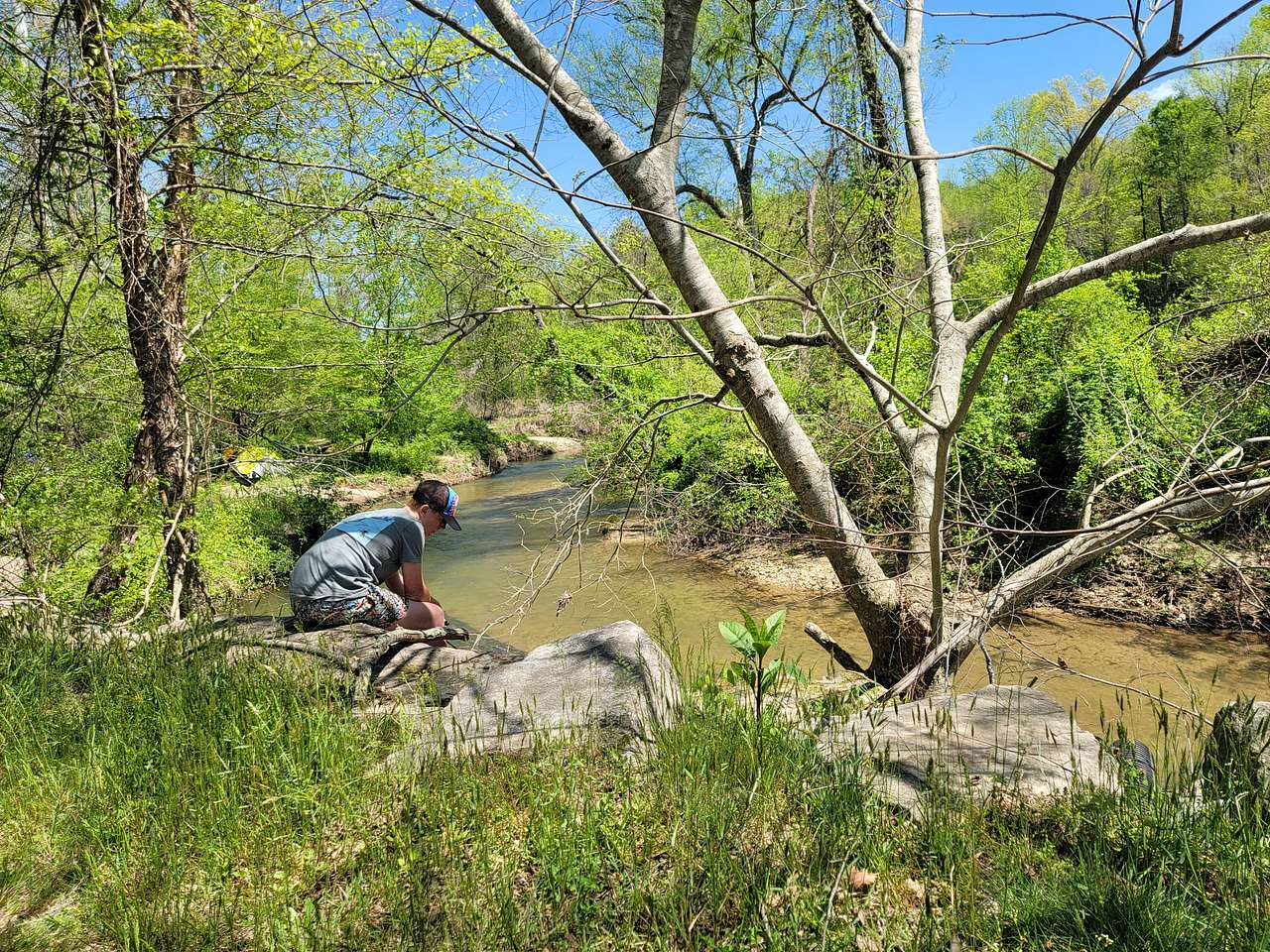 Picture of the site