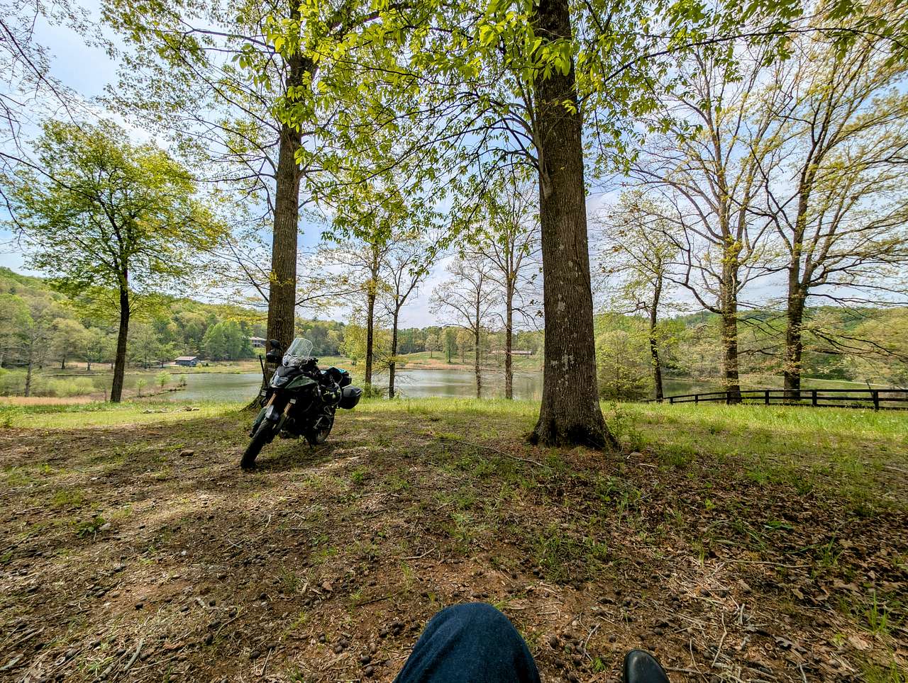 Picture of the site