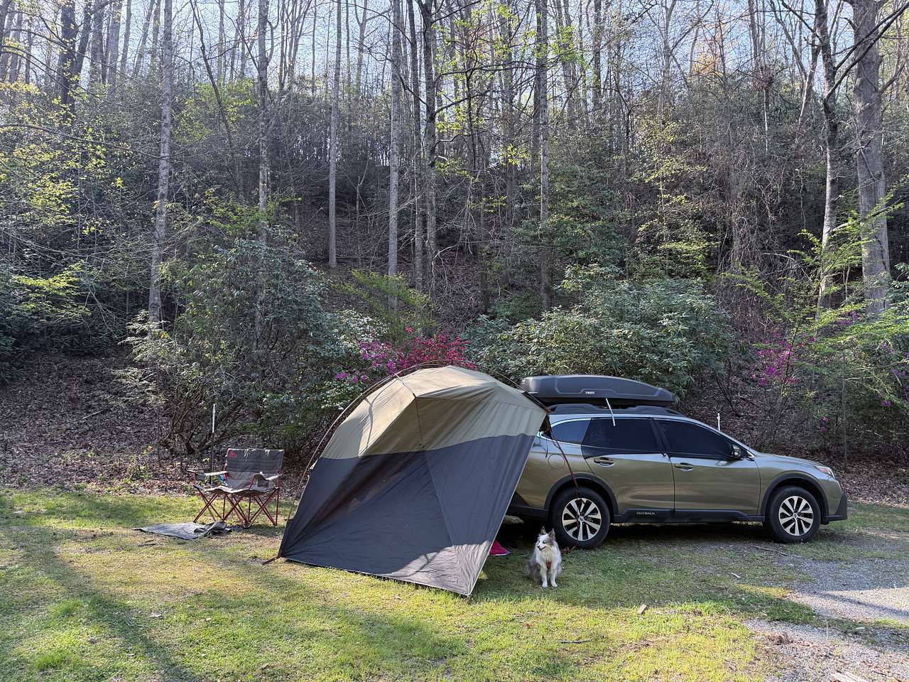 Picture of the site