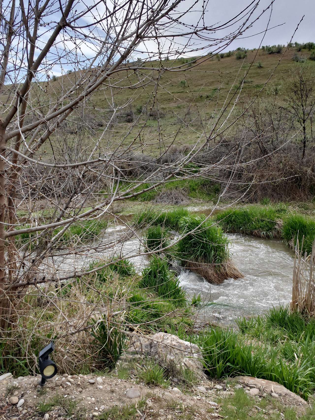 Picture of the site