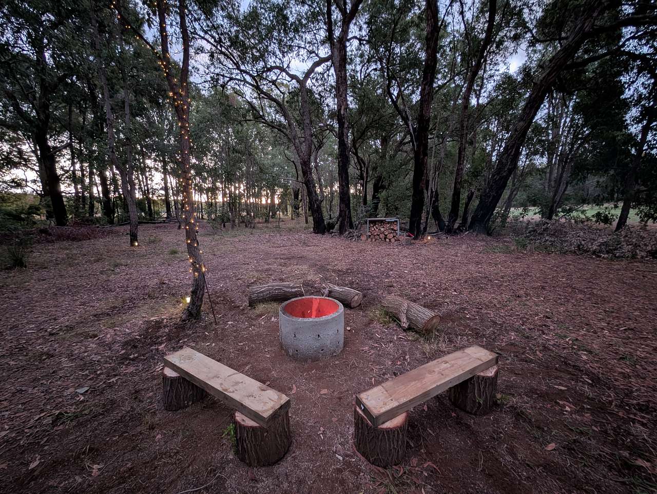 Picture of the site