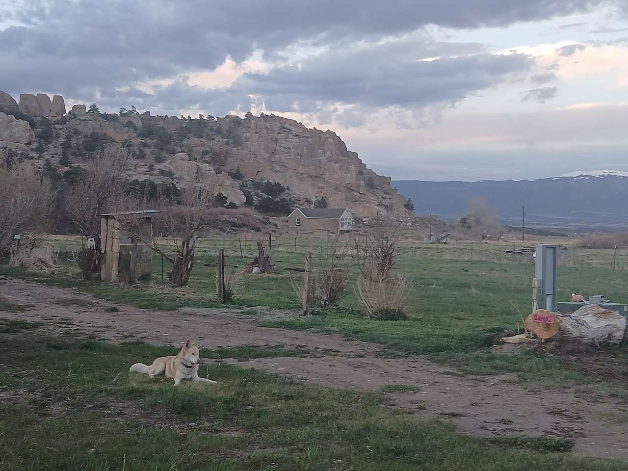 Picture of the site