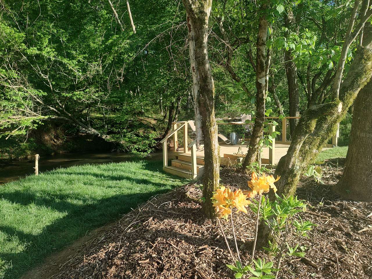 Picture of the site