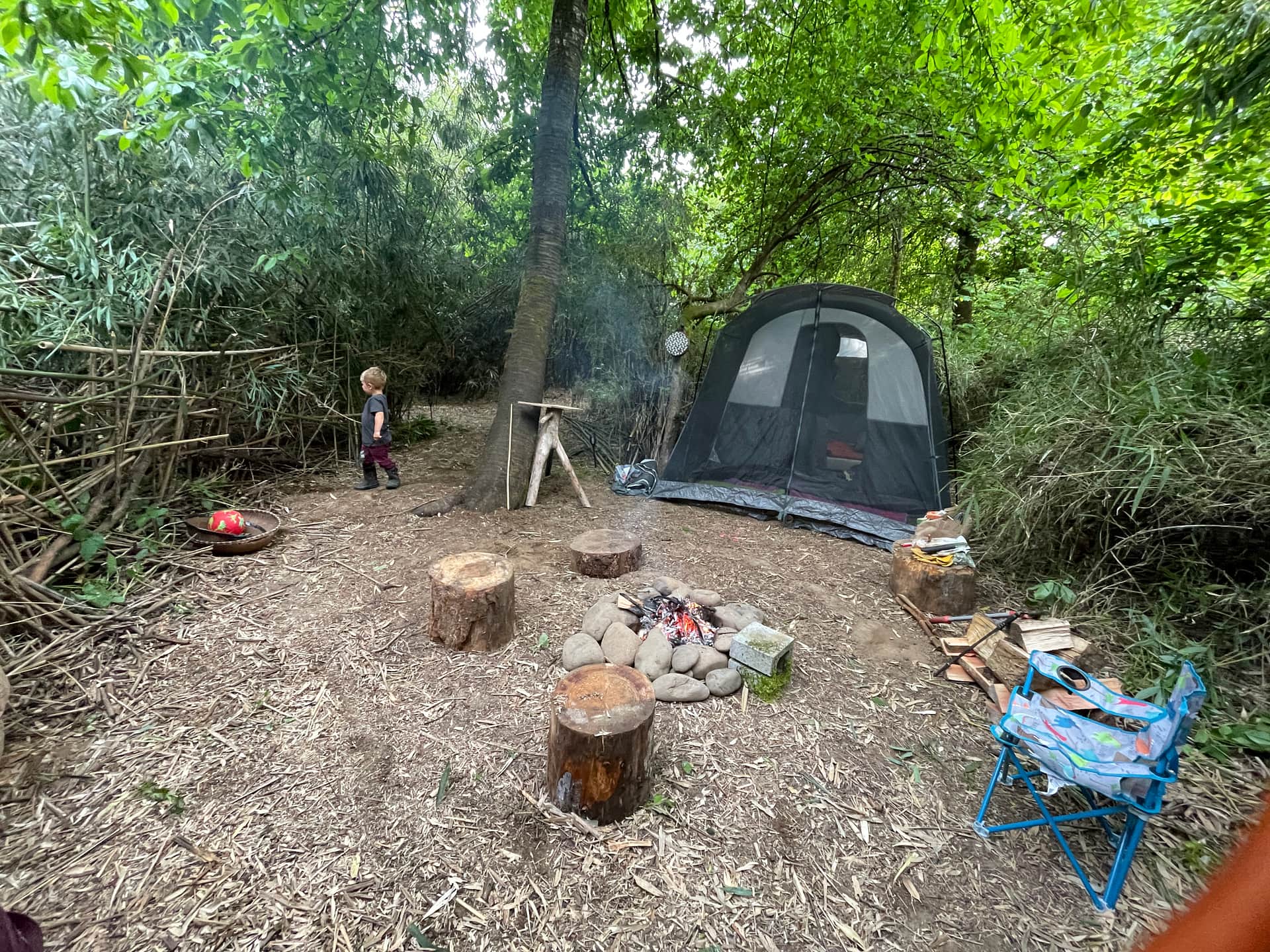 Picture of the site