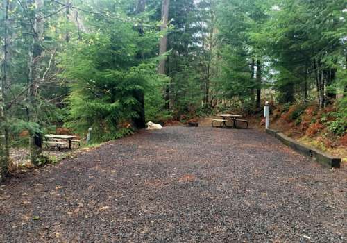 Picture of the site