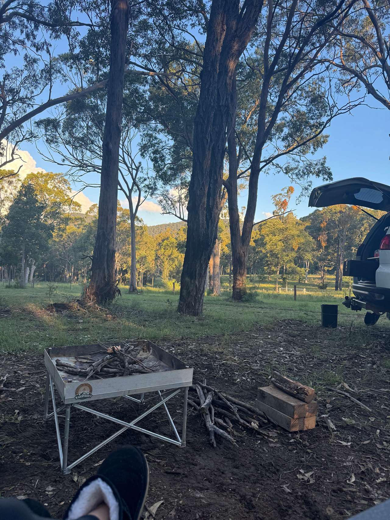 Picture of the site