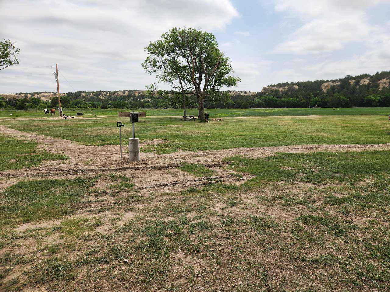 Picture of the site