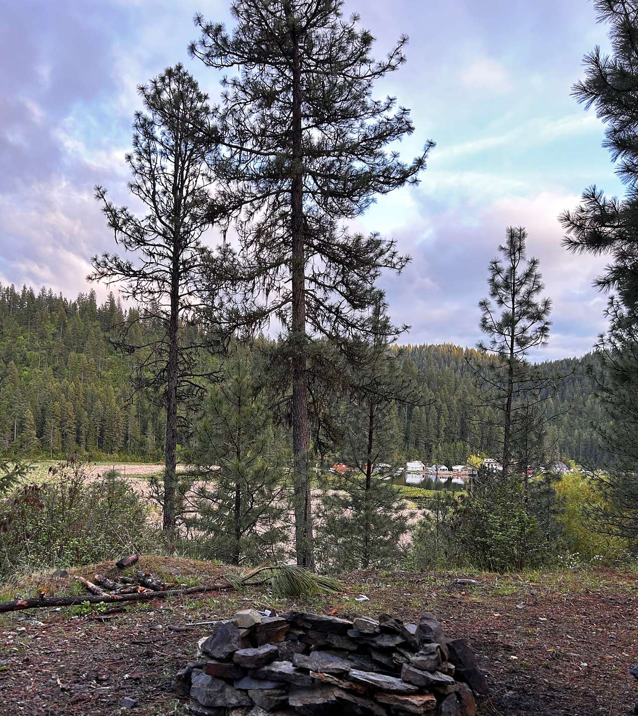 Picture of the site