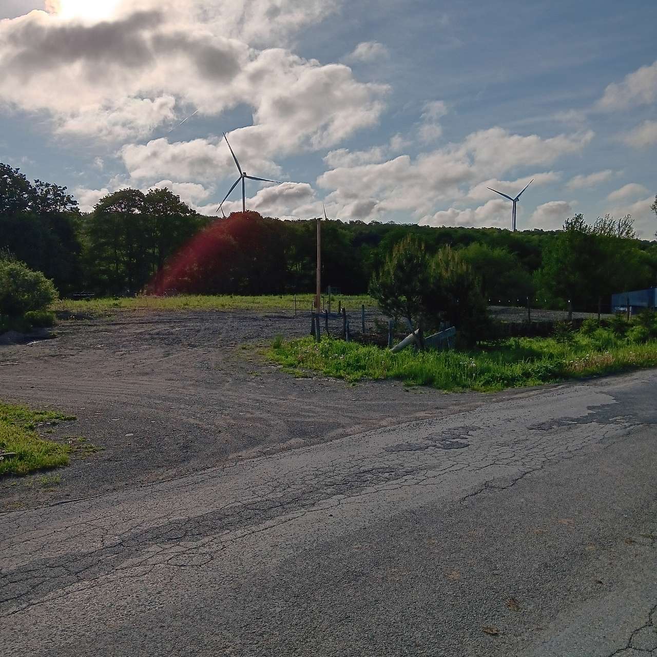 Picture of the site