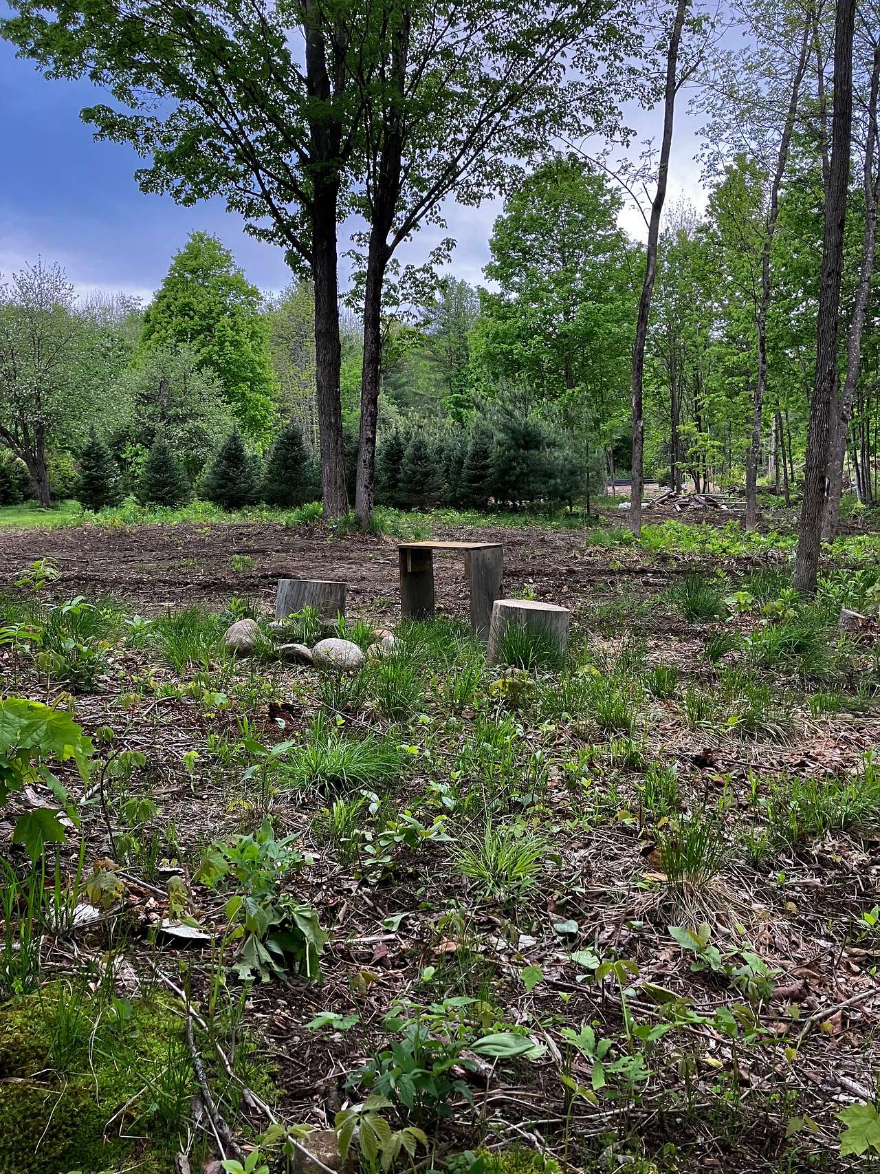 Picture of the site