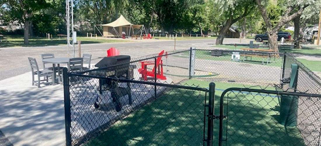 Picture of the site