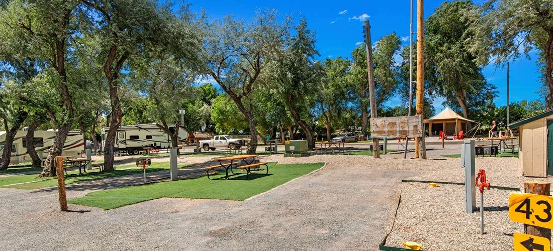 Picture of the site