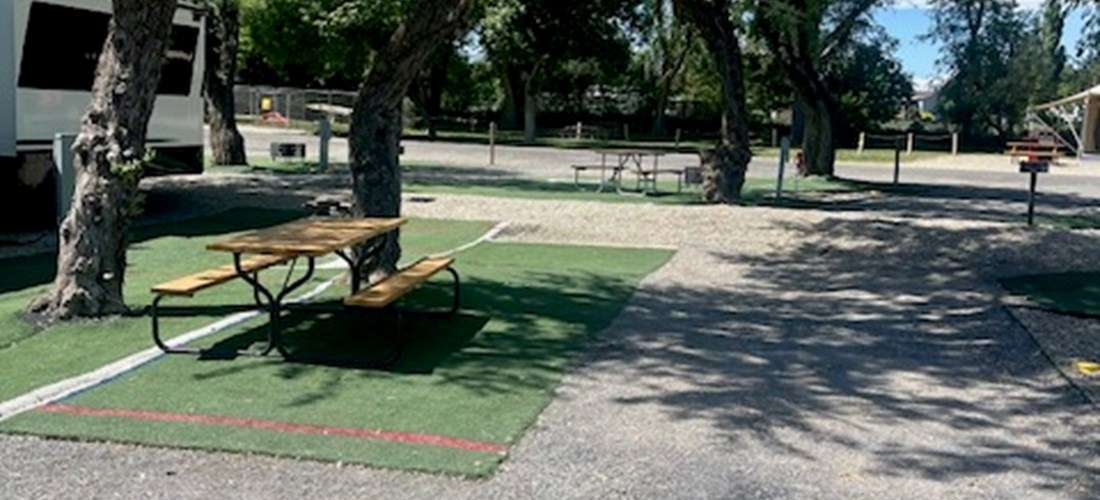 Picture of the site