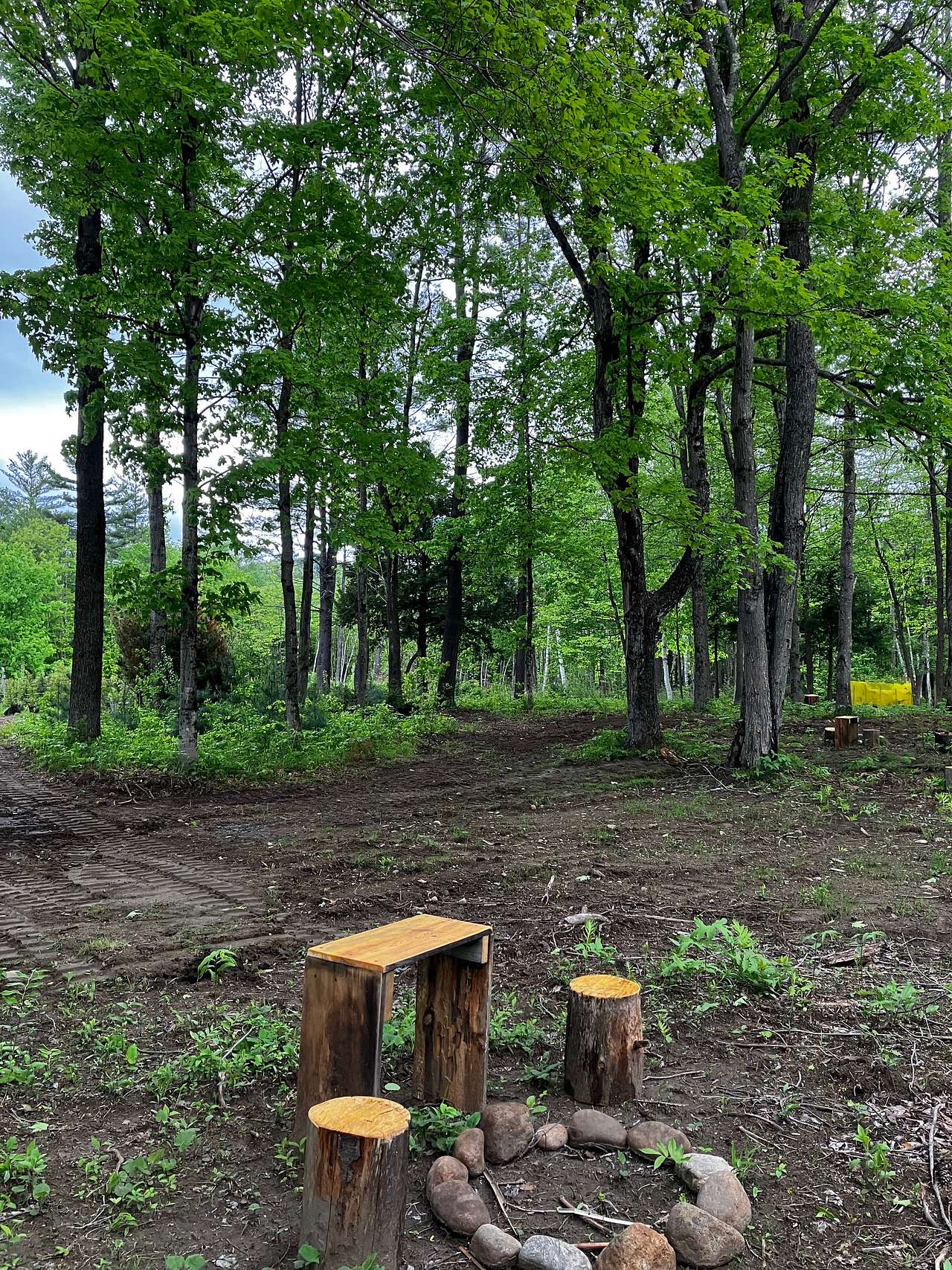 Picture of the site