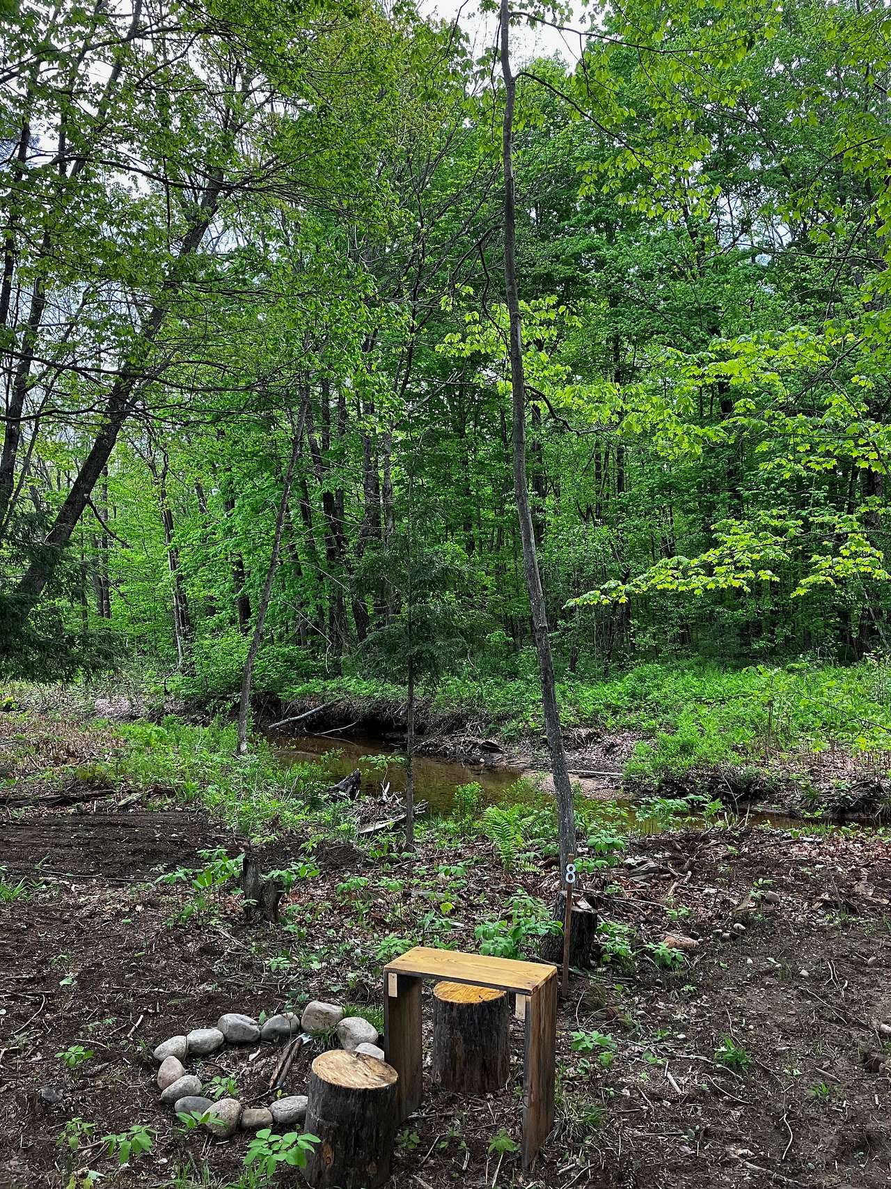 Picture of the site