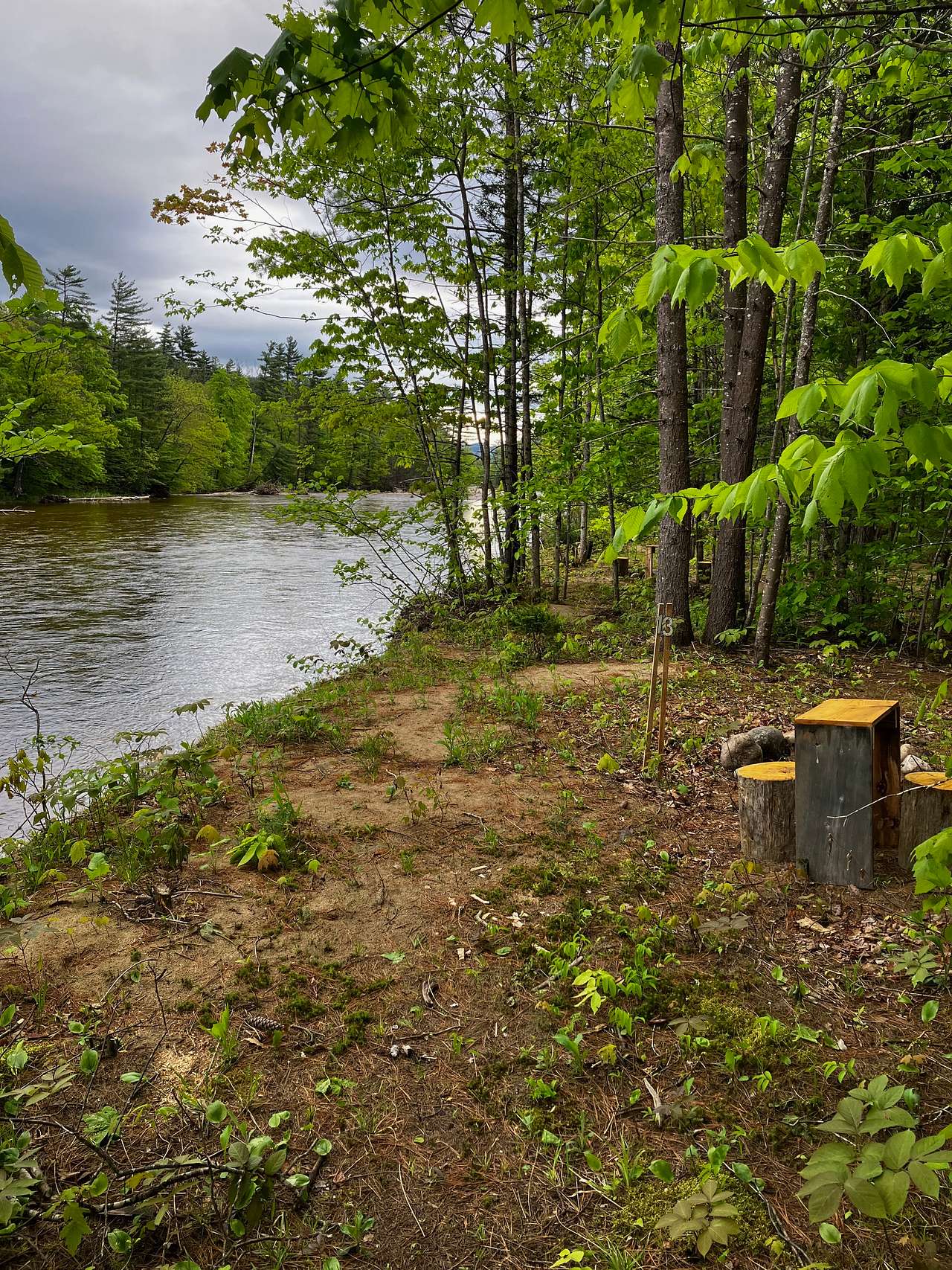 Picture of the site