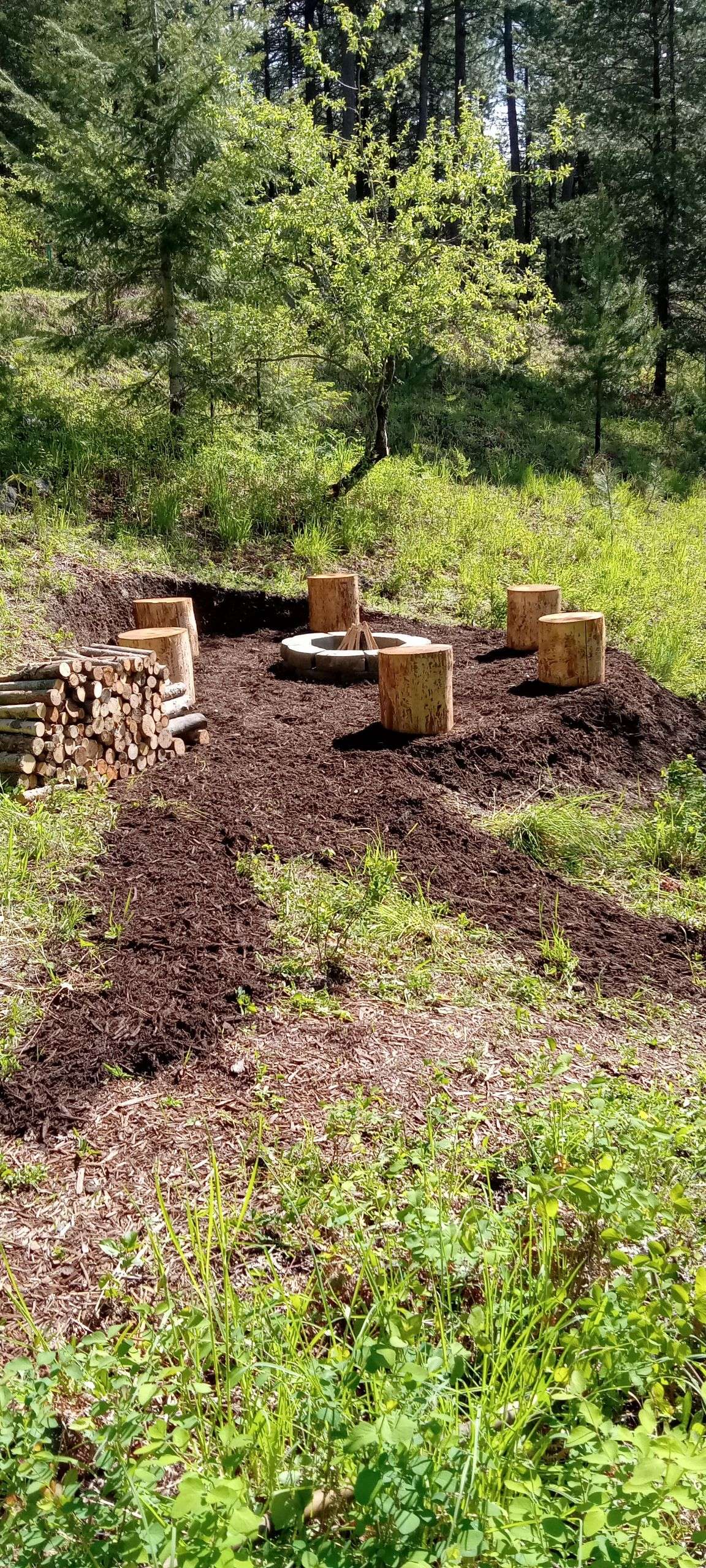 Picture of the site