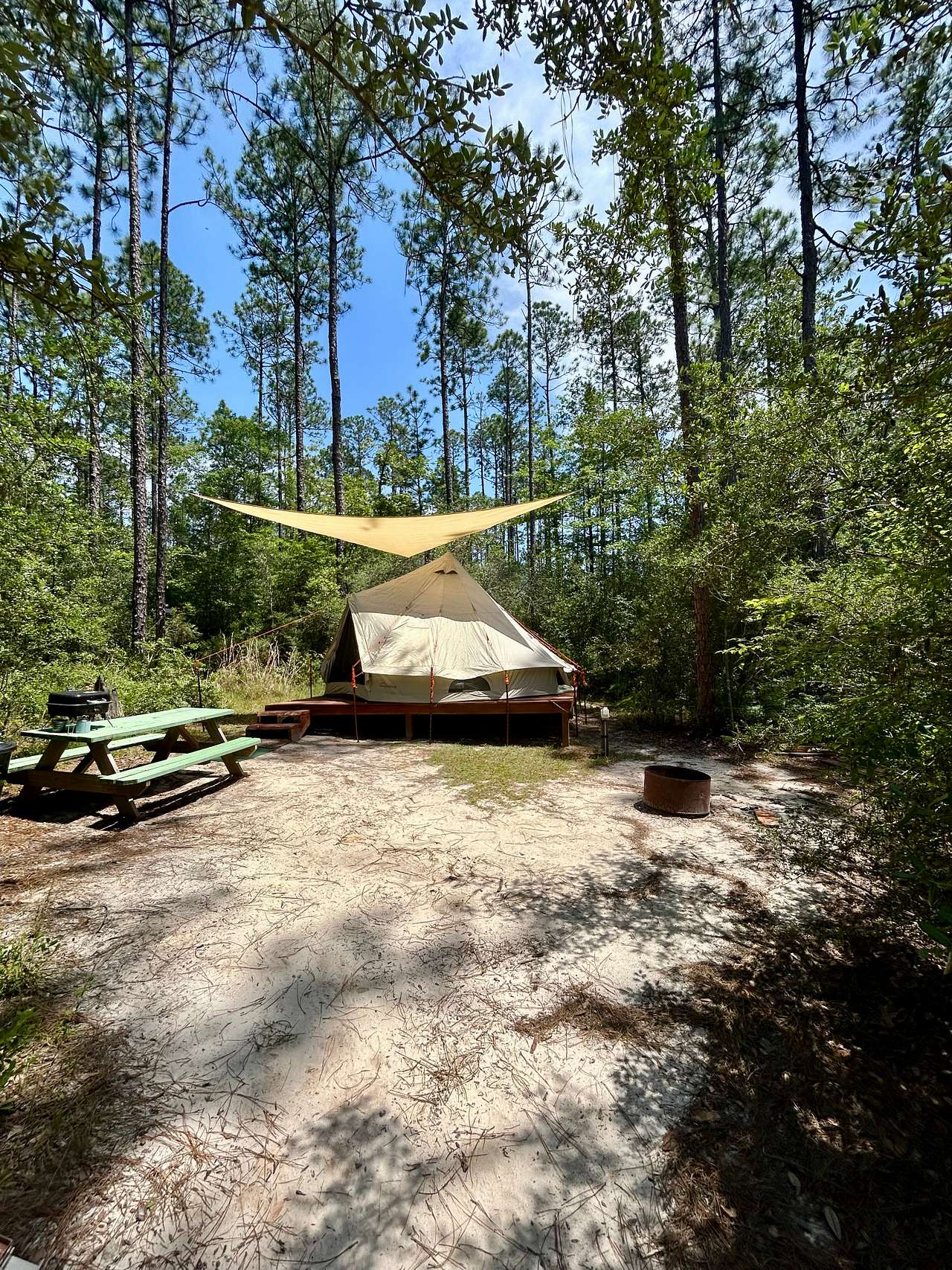 Picture of the site