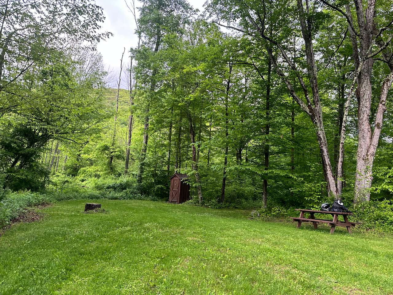 Picture of the site