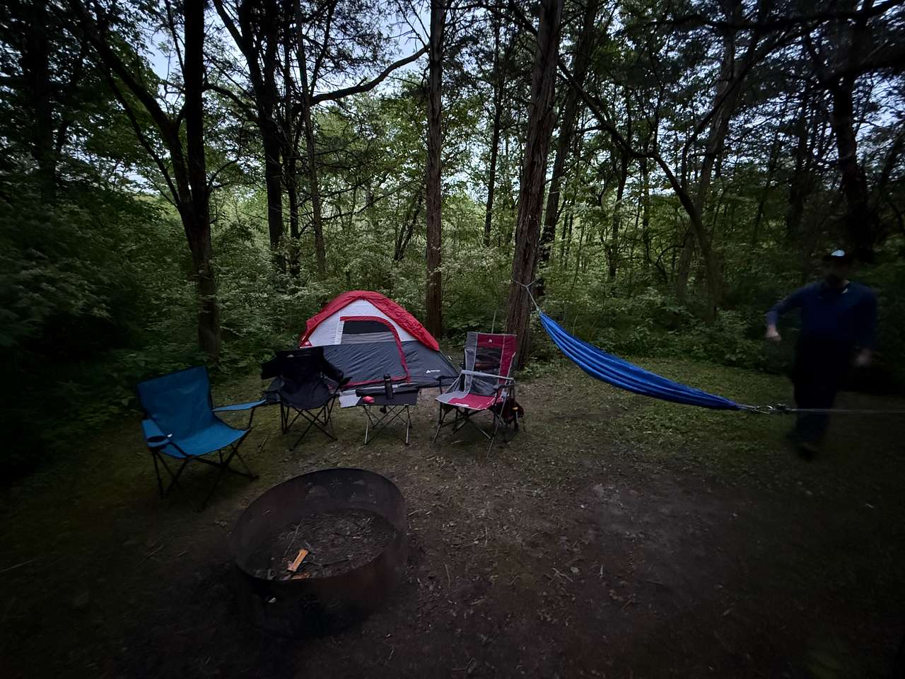 Picture of the site