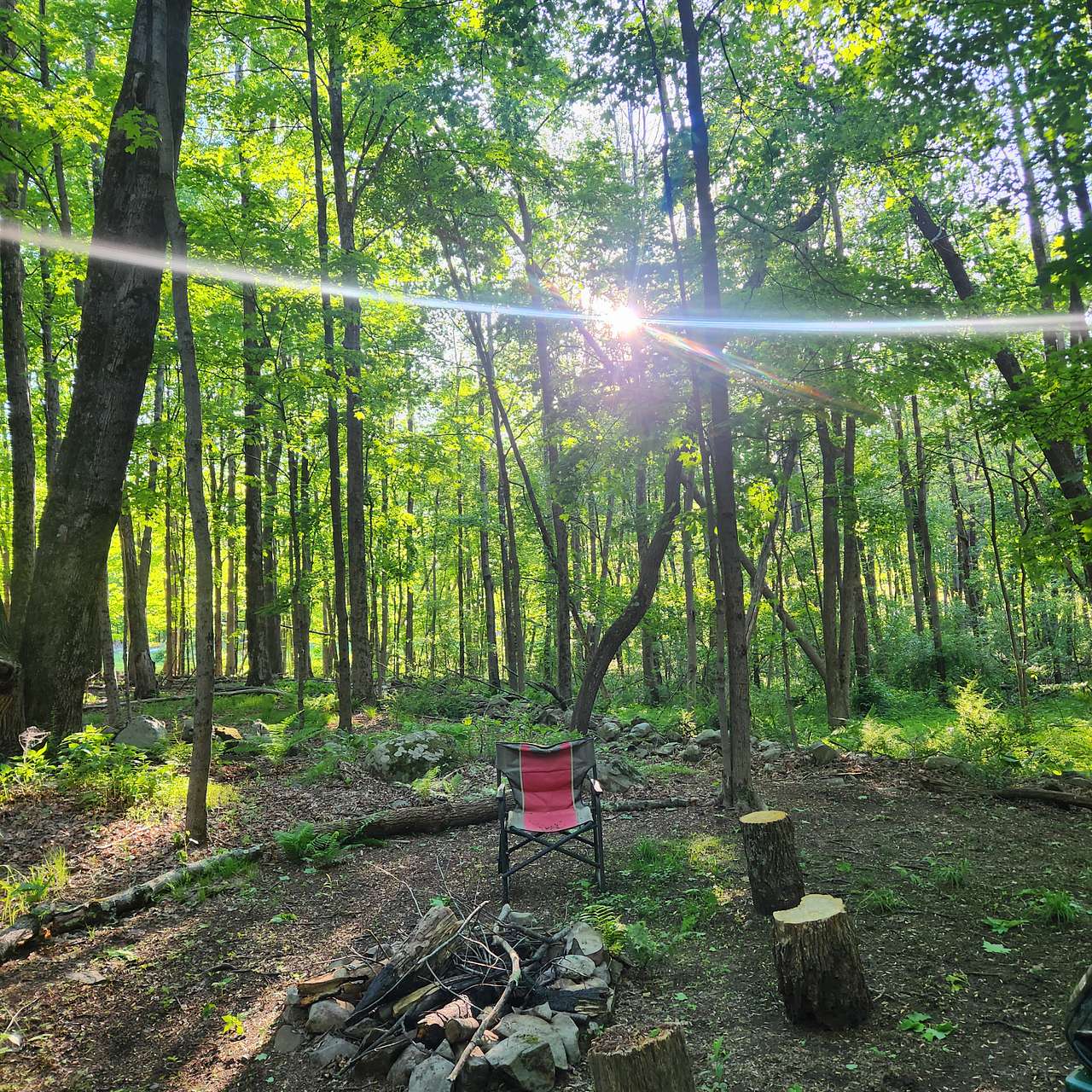 Picture of the site