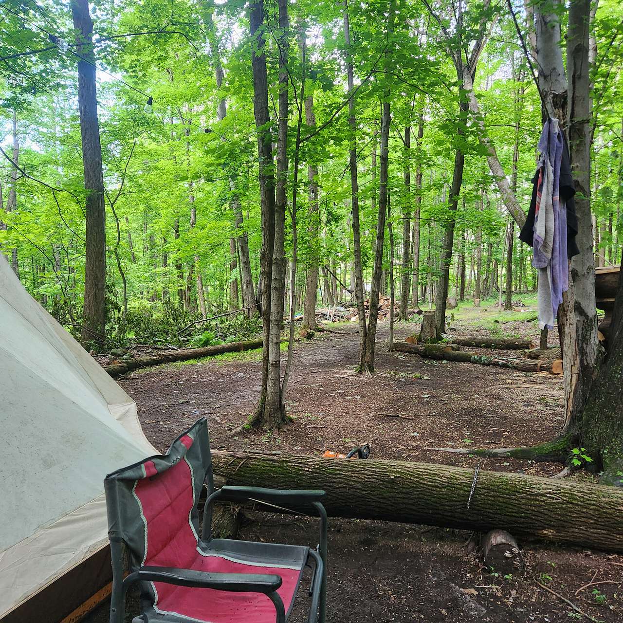 Picture of the site