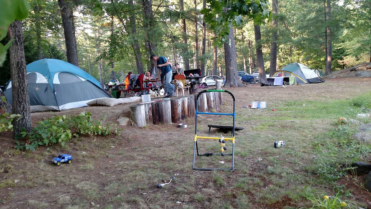 Picture of the site