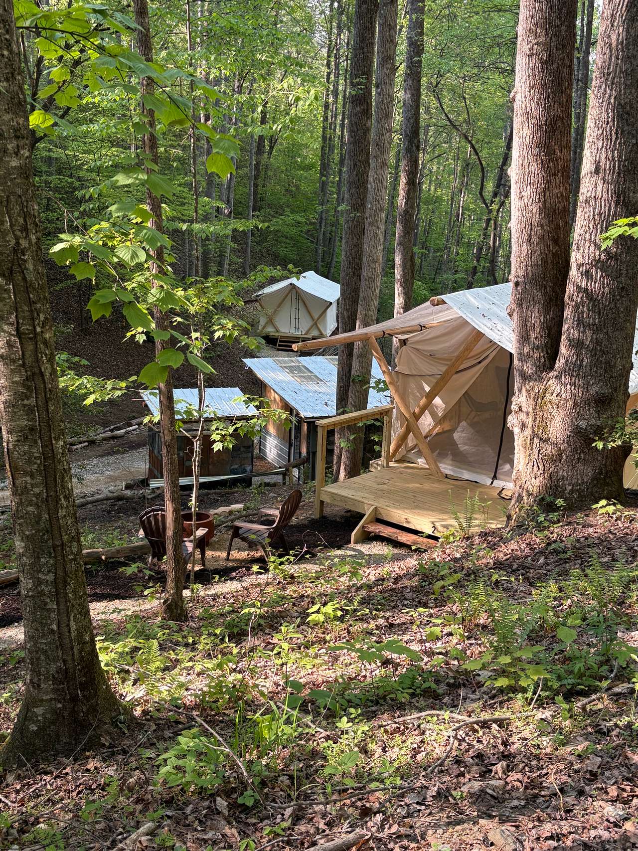 Picture of the site