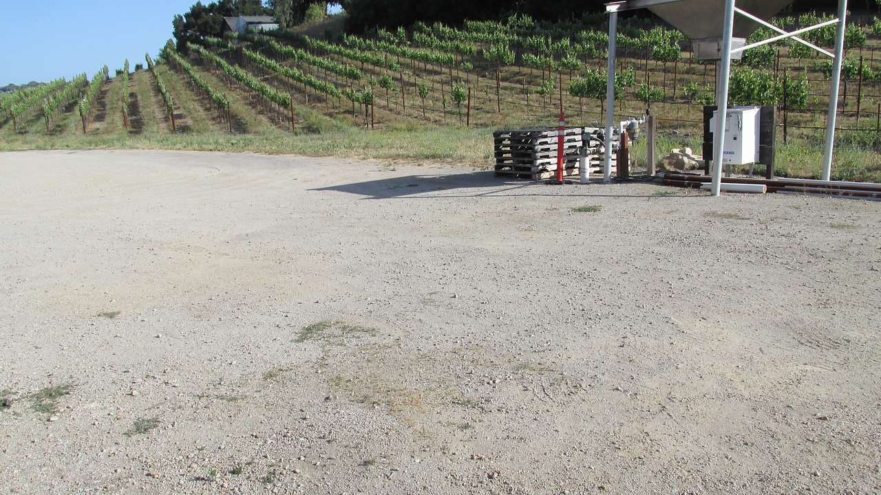 Picture of the site