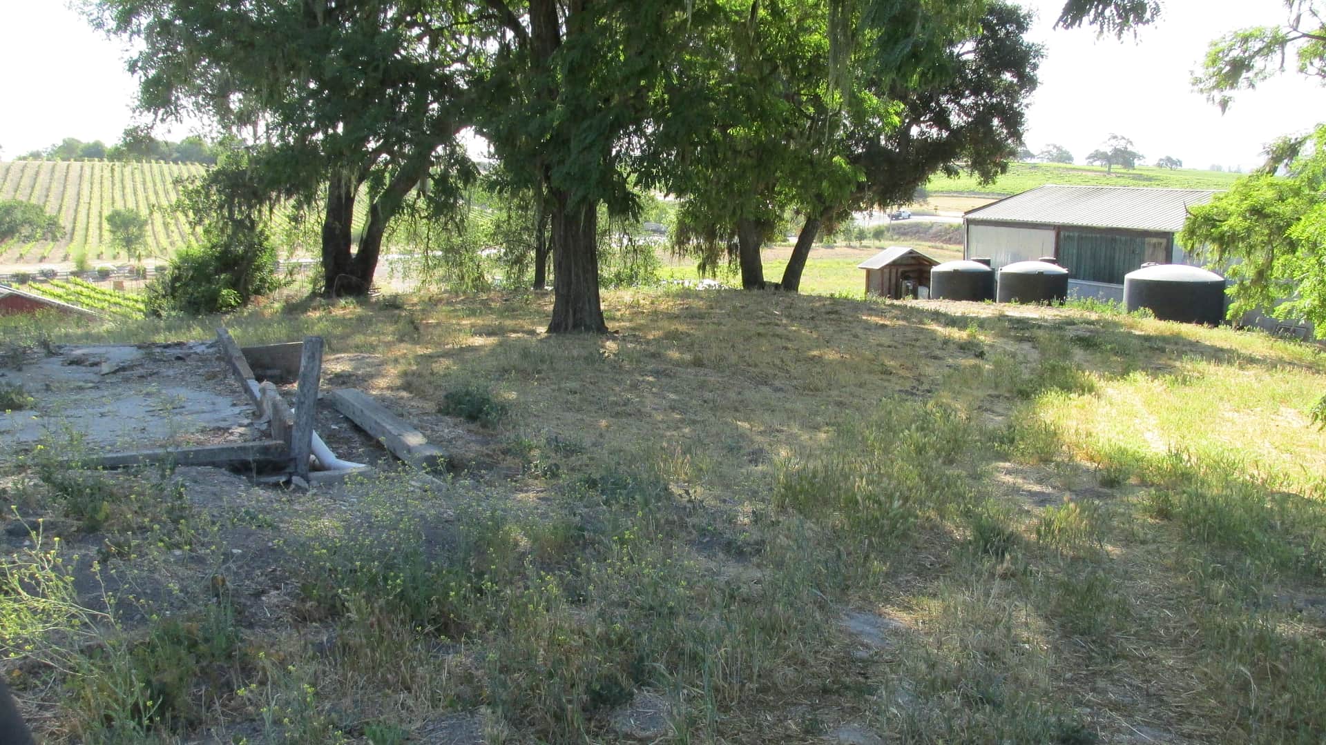Picture of the site