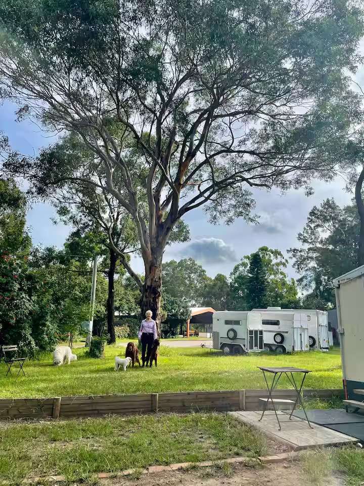Picture of the site