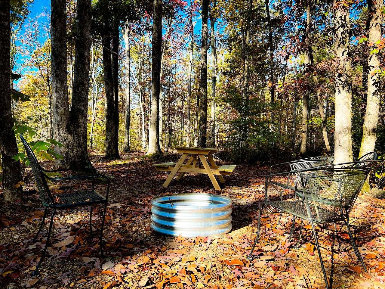 Picture of the site