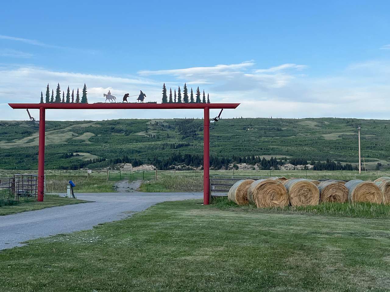 Picture of the site