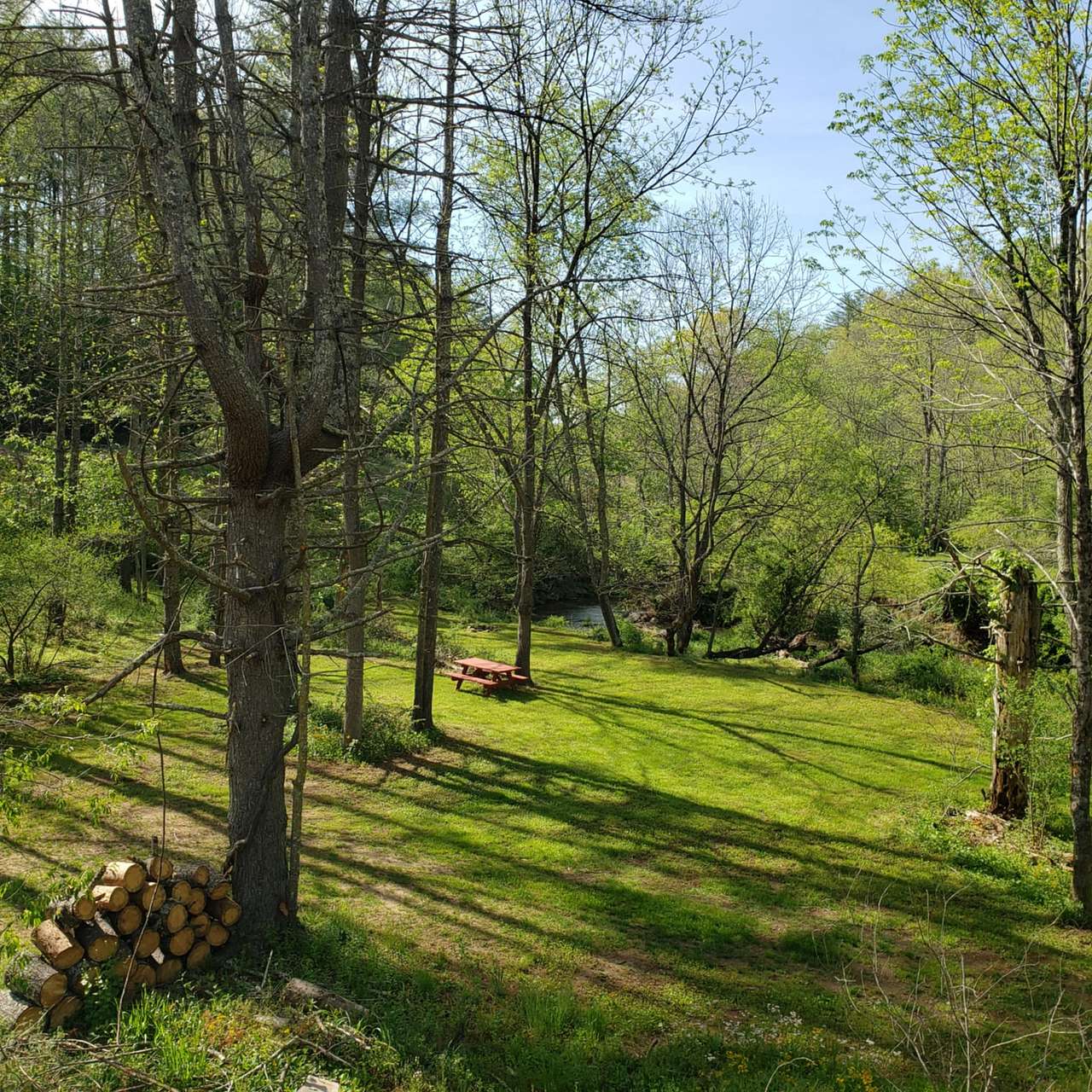 Picture of the site