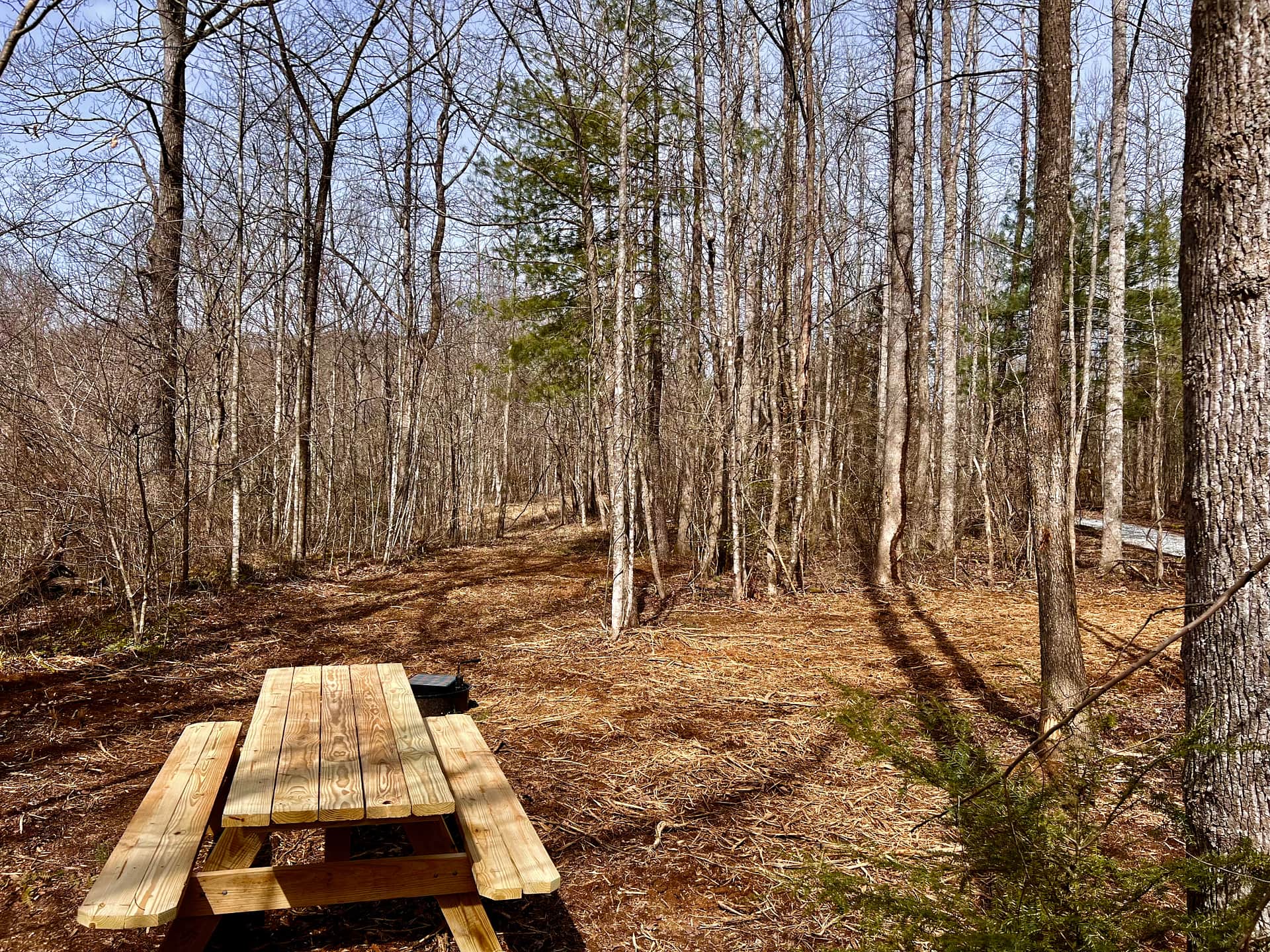 Picture of the site