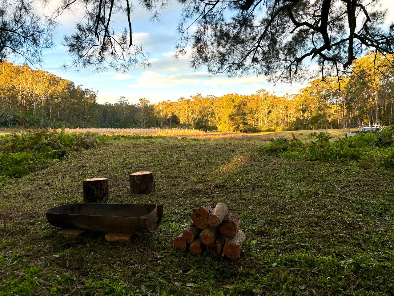 Picture of the site