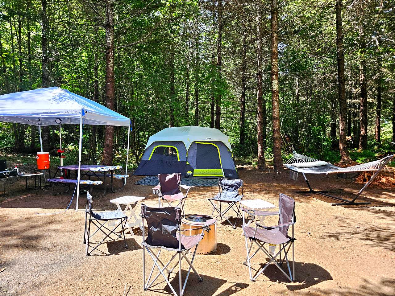 Picture of the site