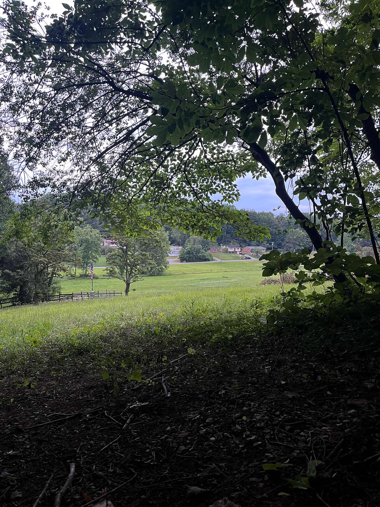 Picture of the site