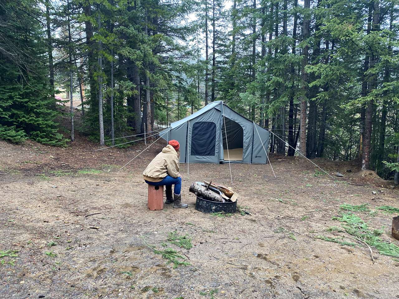 Picture of the site