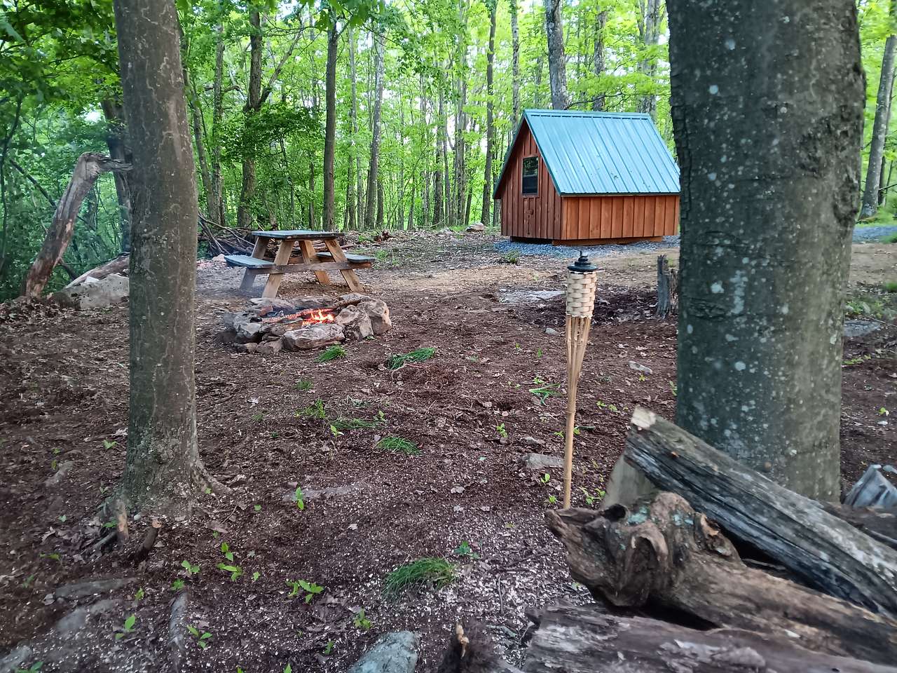 Picture of the site