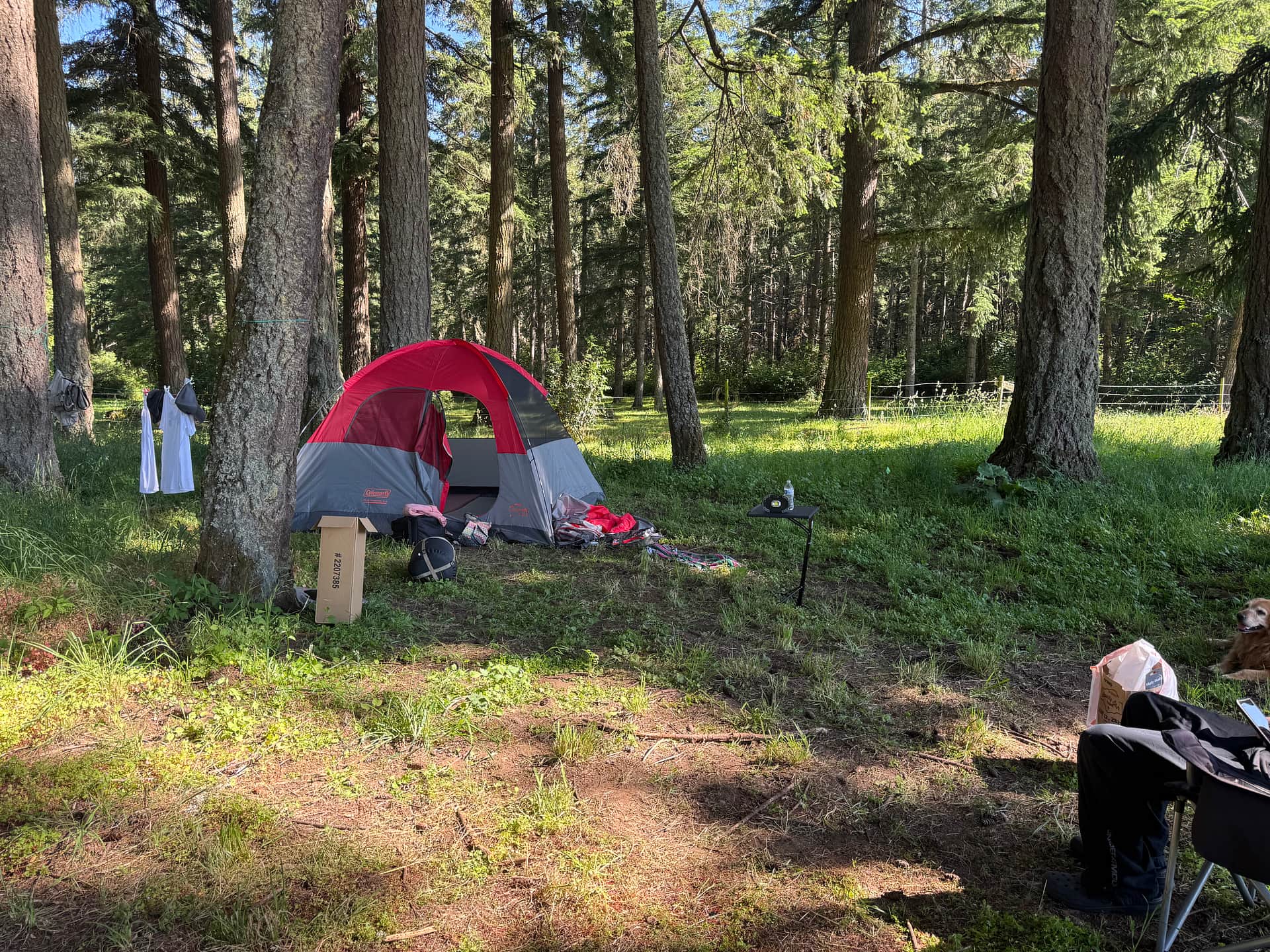 Picture of the site
