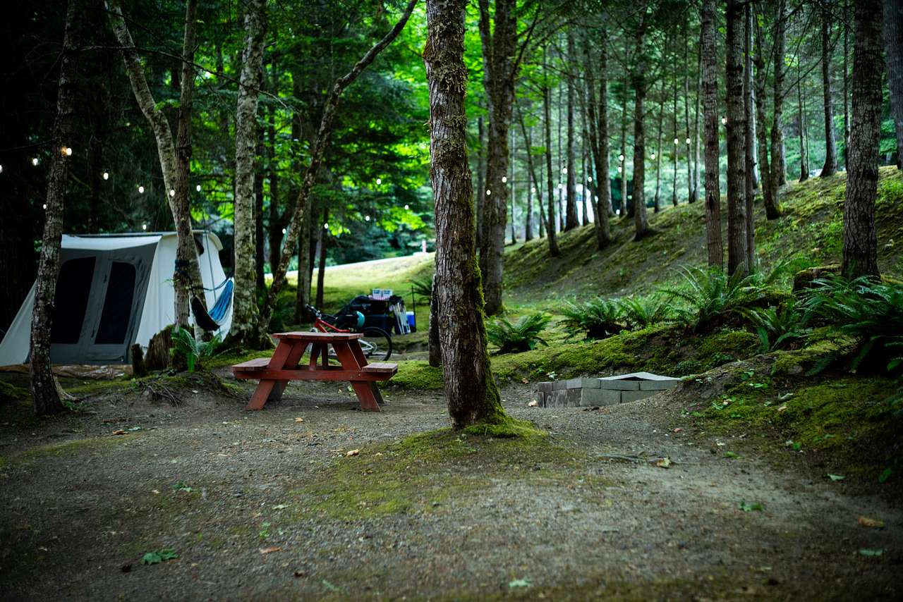 Picture of the site