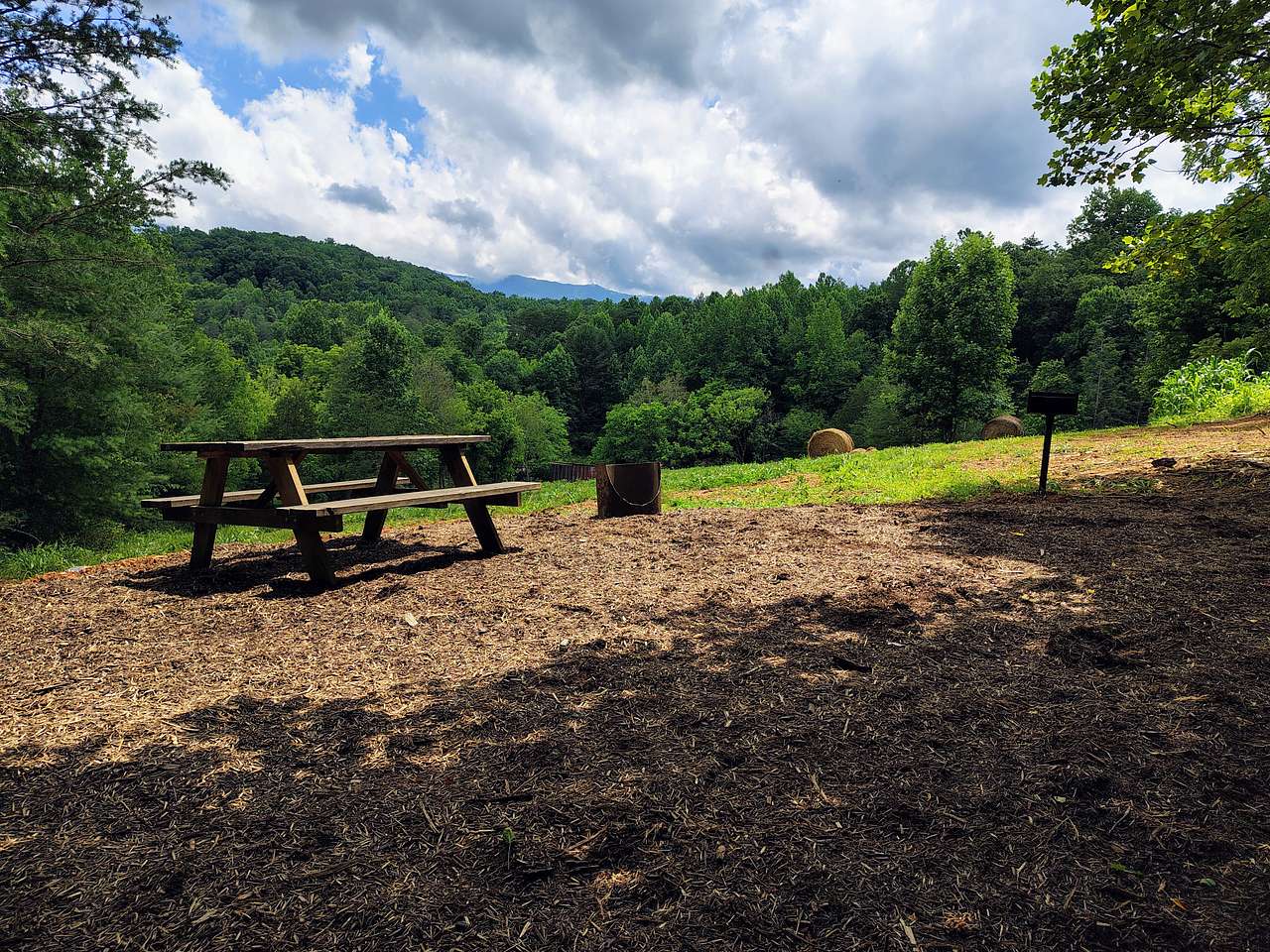Picture of the site